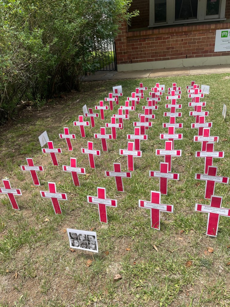 Cross for each female life lost in 2023, up to November.